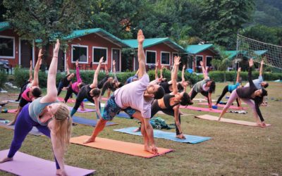 Yoga Alliance Certified 200 Hour Online Yoga Teacher Training Course In Rishikesh India