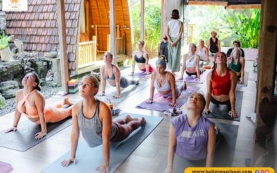 Part 2nd /  45 Days 100 Hour Online Yoga Teacher Training Course in Rishikesh India